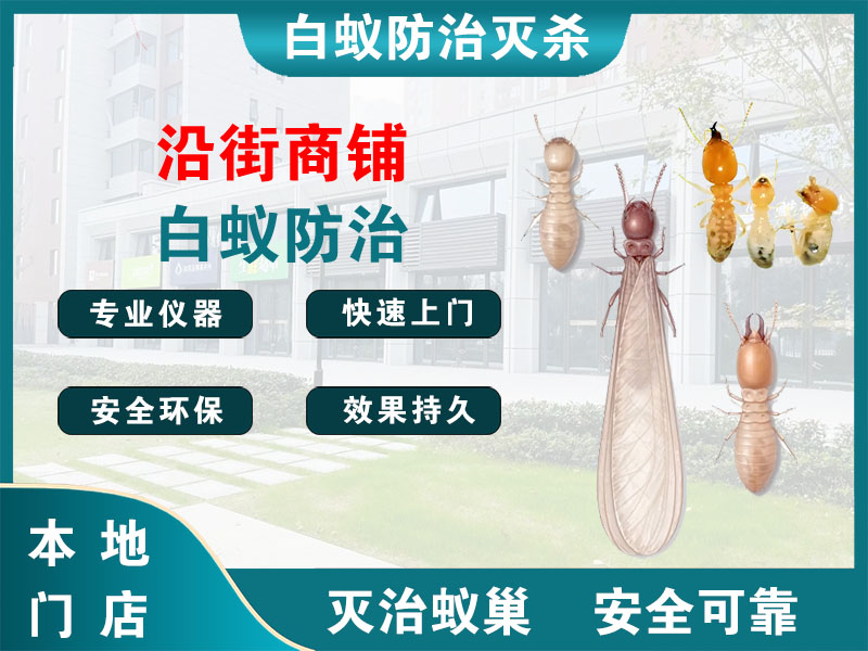 江北沿街商铺白蚁防治