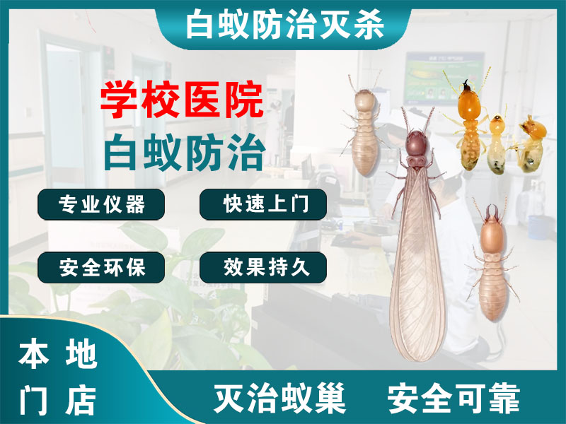 江北学校医院白蚁防治