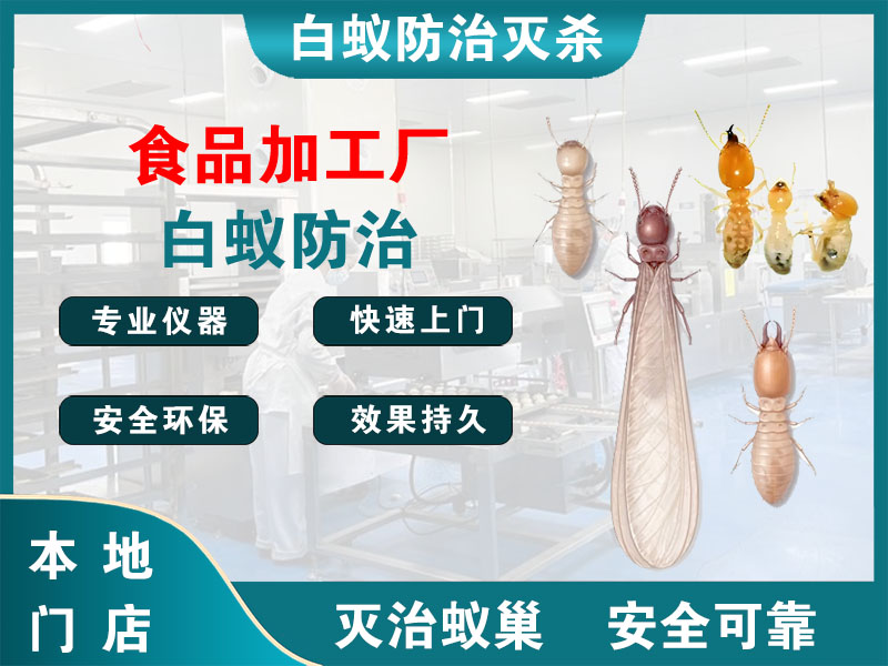 江北食品加工厂白蚁防治