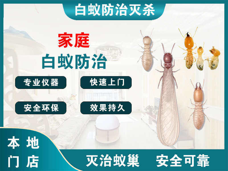江北家庭白蚁防治