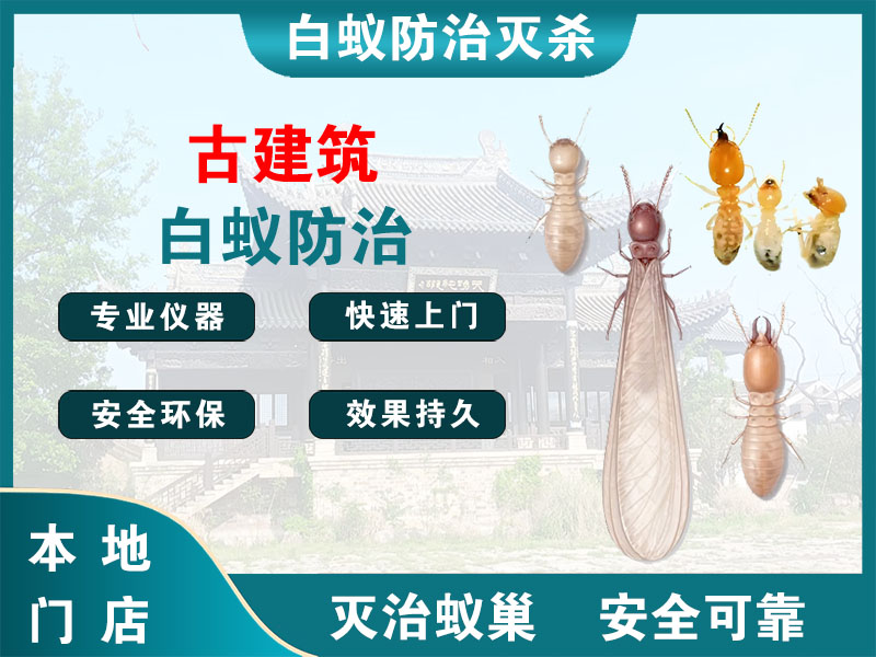 江北古建筑白蚁防治
