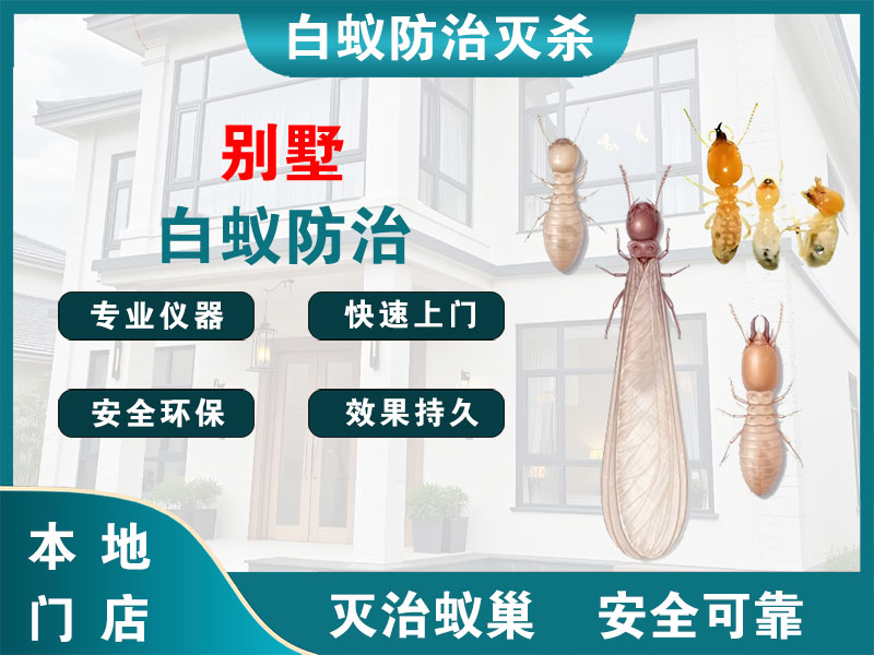 江北别墅白蚁防治