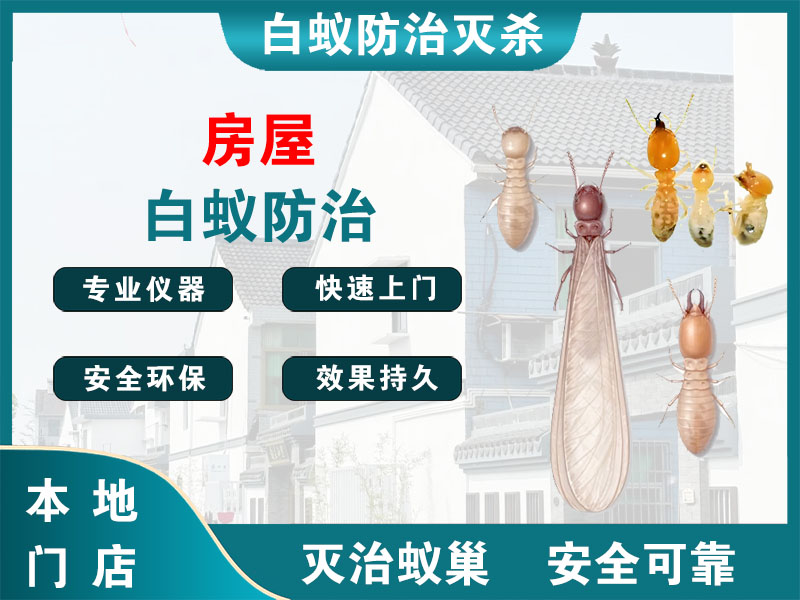江北房屋白蚁防治